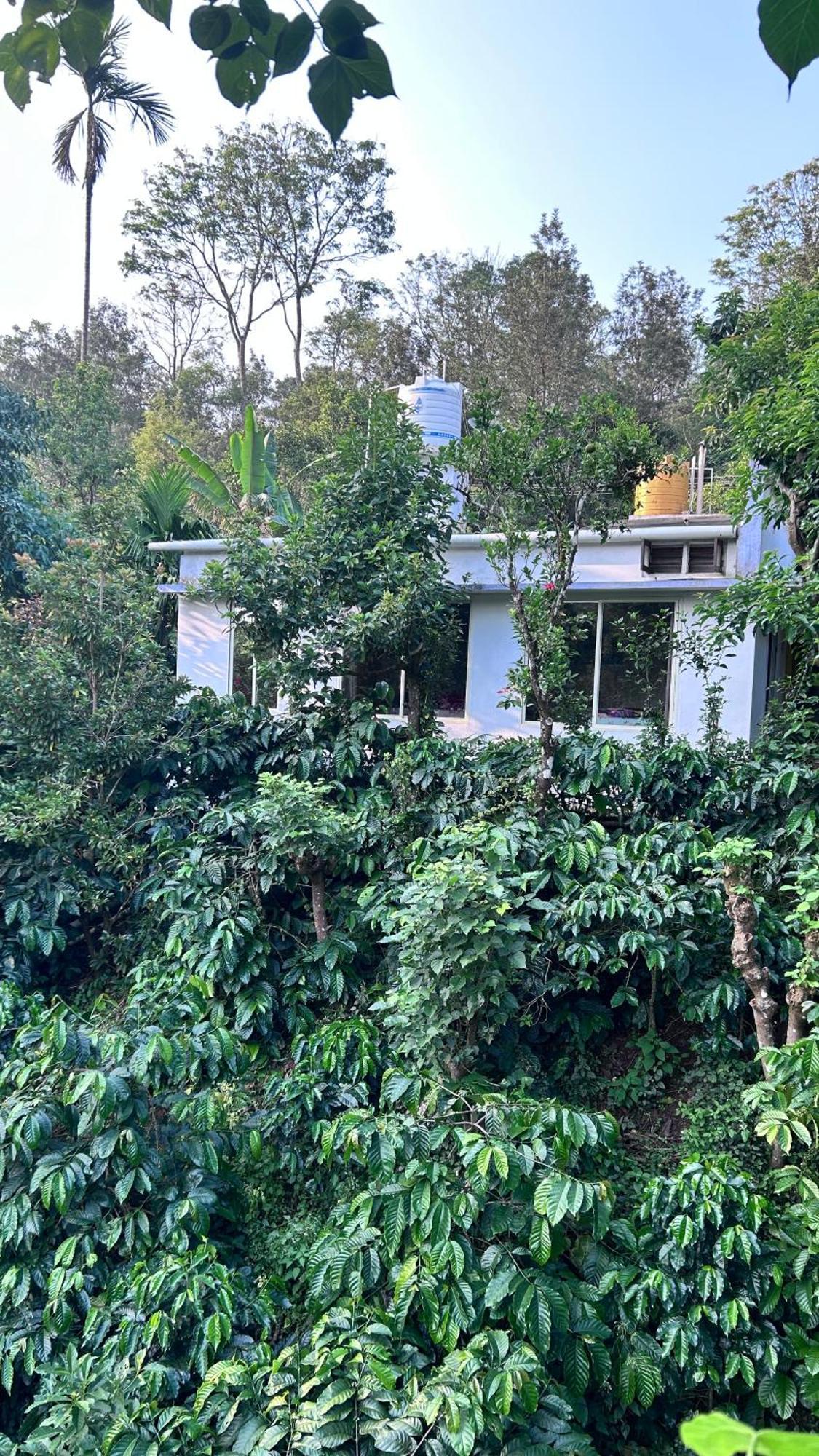 Doddakallu Betta Homestay Coorg Somvārpet Exterior foto